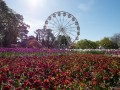 0929-1558 Floriade (1040962)